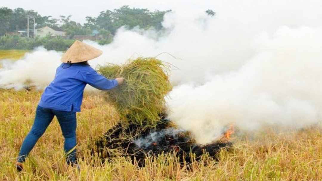 Hoạt động nông nghiệp là nguyên nhân gây hiệu ứng nhà kính