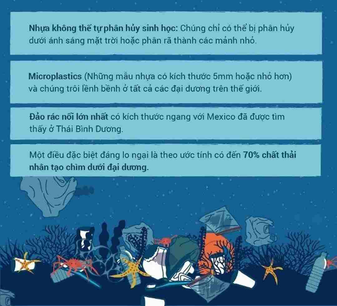 Rác thải nhựa cần thời gian đến hàng nghìn năm để phân hủy được