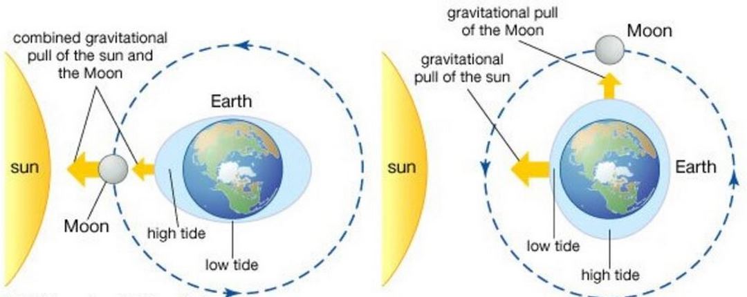 Nguyên nhân có thủy triều trong cuộc sống