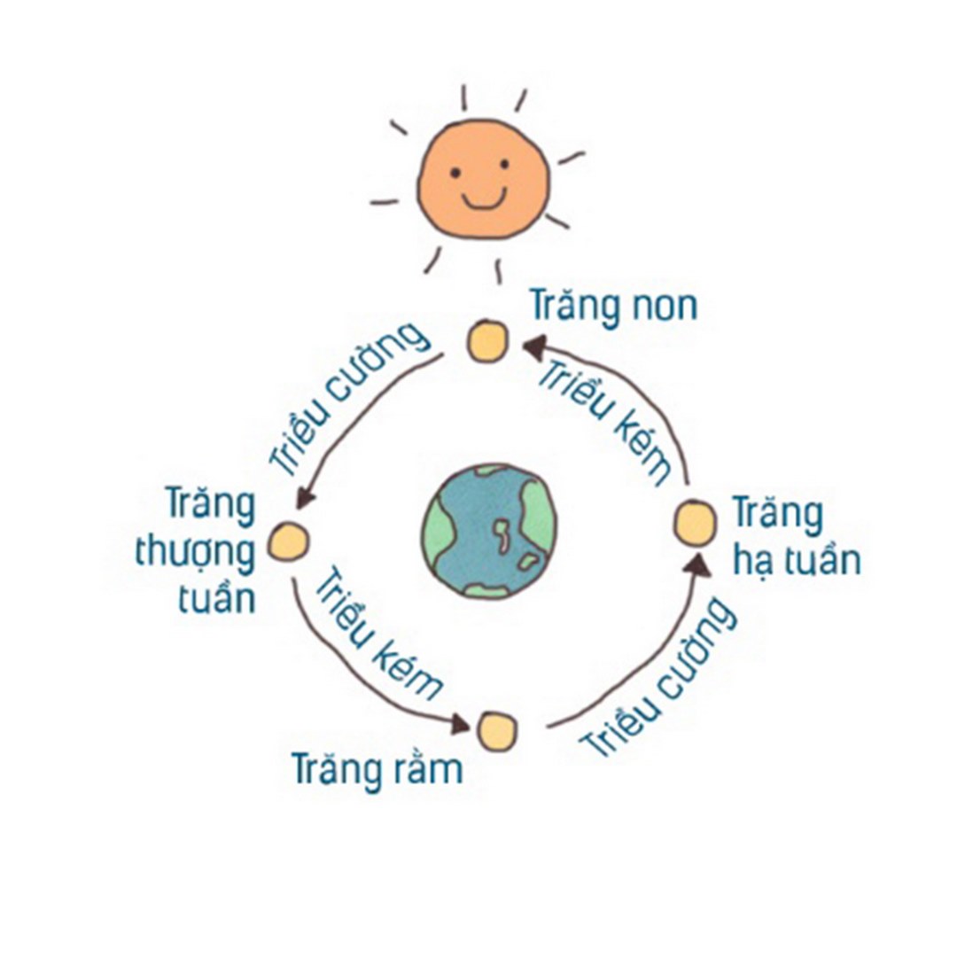 Quá trình hoạt động của việc dâng và rút nước