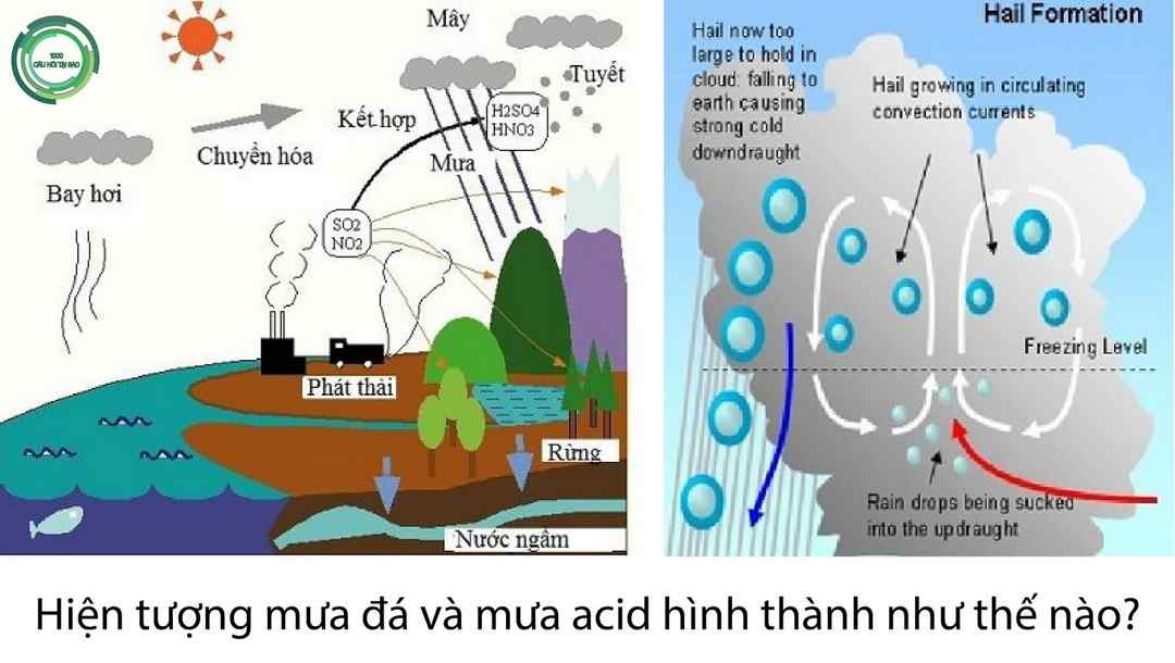 Mưa axit xuất hiện do nguyên nhân nào?